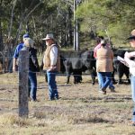 No rain today and little tomorrow, but BoM still predicting widespread rain | Queensland Country Life