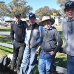 NSW interests swoop on NT cotton cropping opportunity