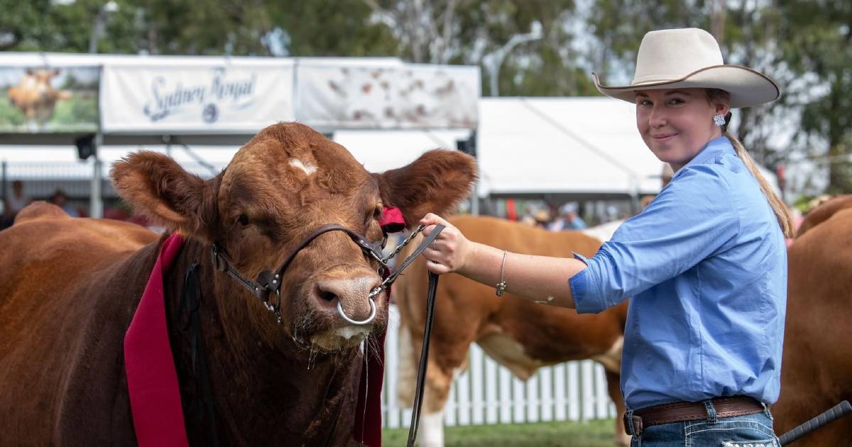 Sarah Rayner, Best Parader at Shorthorn National Show and Sale