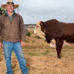 Elders Mt Barker and Albany host Livestock Production days | Farm Weekly