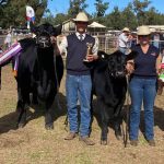 Wattle Grove Speckle Park stud reaches $37,000 top at annual fire and ice sale | Photos | Queensland Country Life