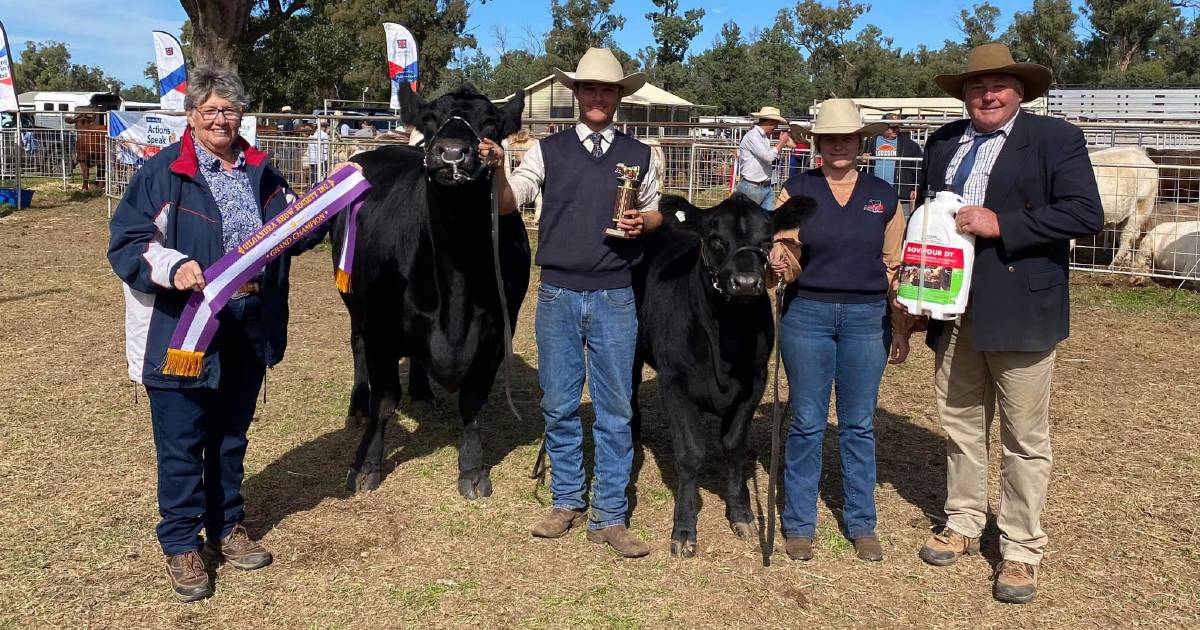 Ribbons and rosettes at the local shows