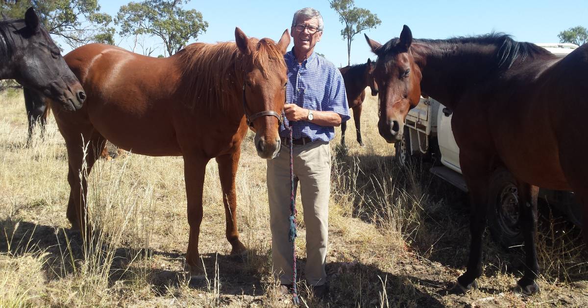 Pioneering northern cattle veterinarian John Armstrong passes away | North Queensland Register