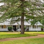 Last weaner sale for Tenterfield attracts strong buyer demand | The Land