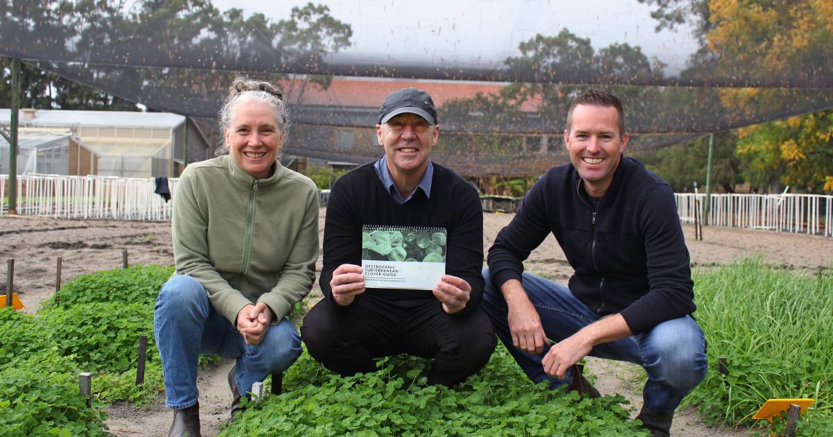 UWA part of new Oestrogenic Subterranean Clover Guide | Farm Weekly