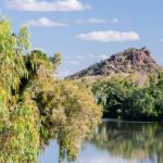 Cotton debut worth the exercise for Bingara growers