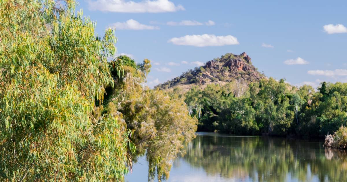 Cloncurry gets a clean-up with weed and pest programs