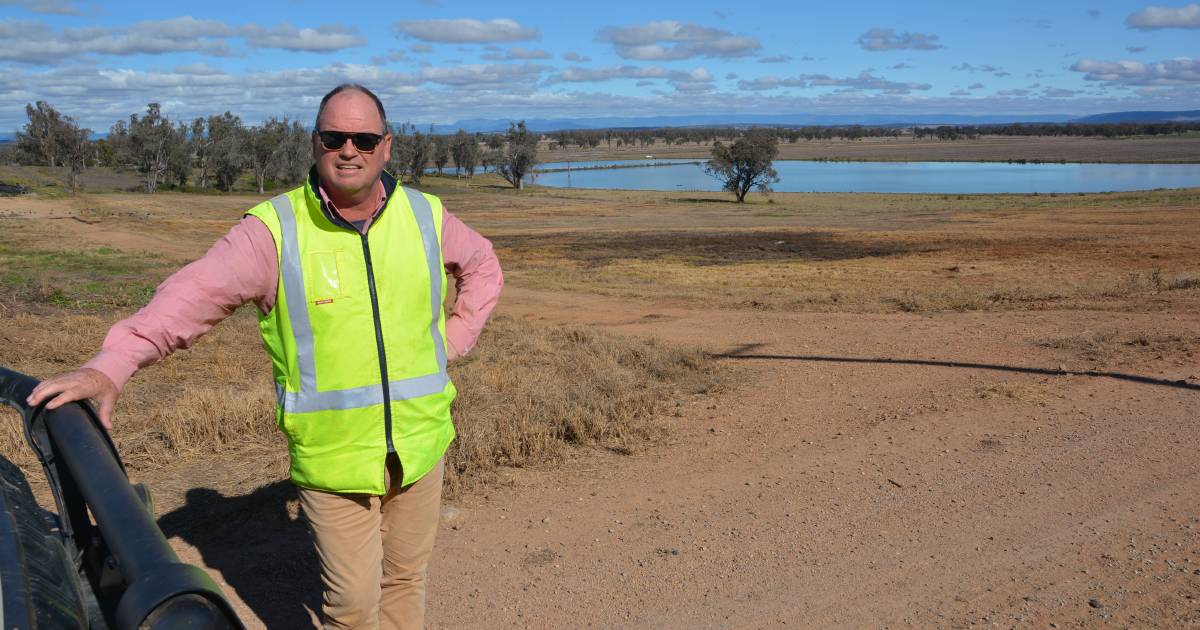 Killara Feedlot's plans for carbon neutrality by 2030