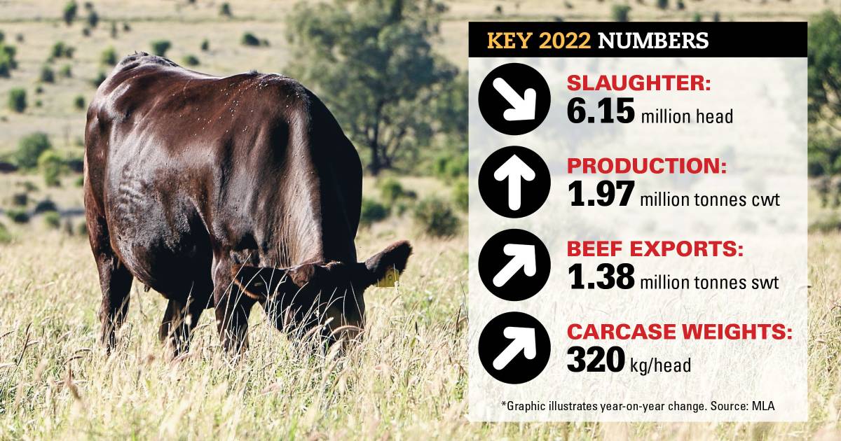 Young cattle prices to drop more than 150c/kg: MLA