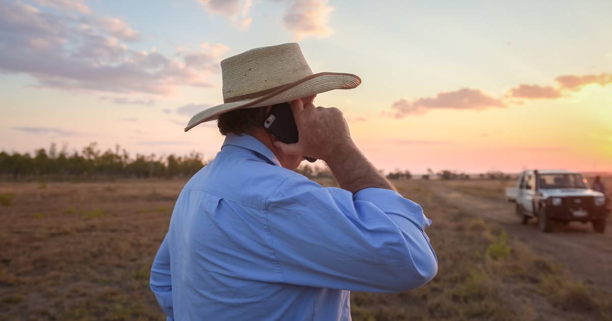 Telecommunications issues continue to plague rural communities | Queensland Country Life