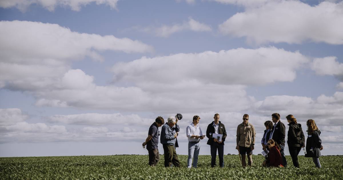 Regional forums to focus on growers' grain research needs