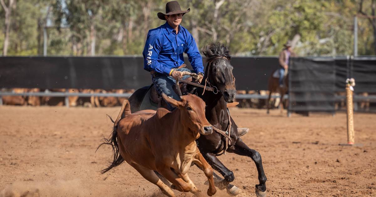 Charters Towers competitior Will Durkin wins Normanton Campdraft | The North West Star