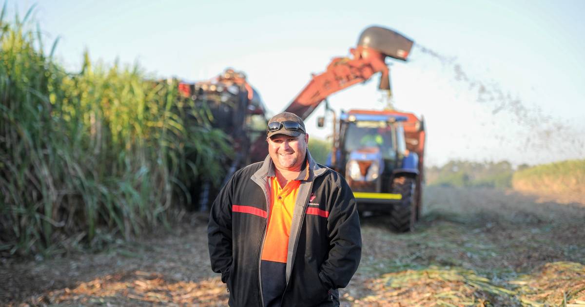 Childers cane growers full of confidence as harvest begins