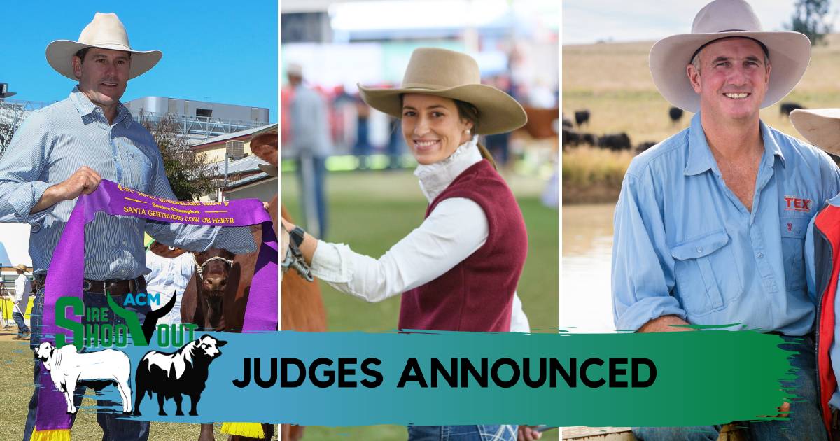 Meet the 2022 ACM Sire Shootout judges