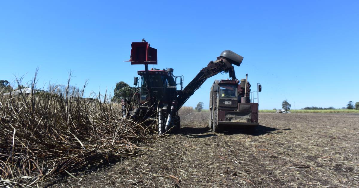 Flood damage will affect Northern Rivers cane crushing season | The Land