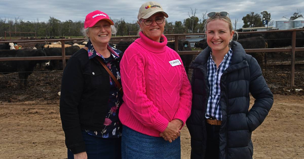 Barcoo Beef Challenge enters final stages with open day at BFeeders feedlot | Photos | Queensland Country Life