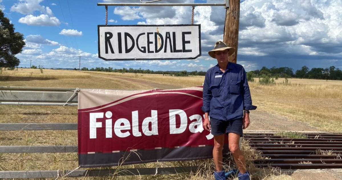 Pasture dieback options are showcased in trials