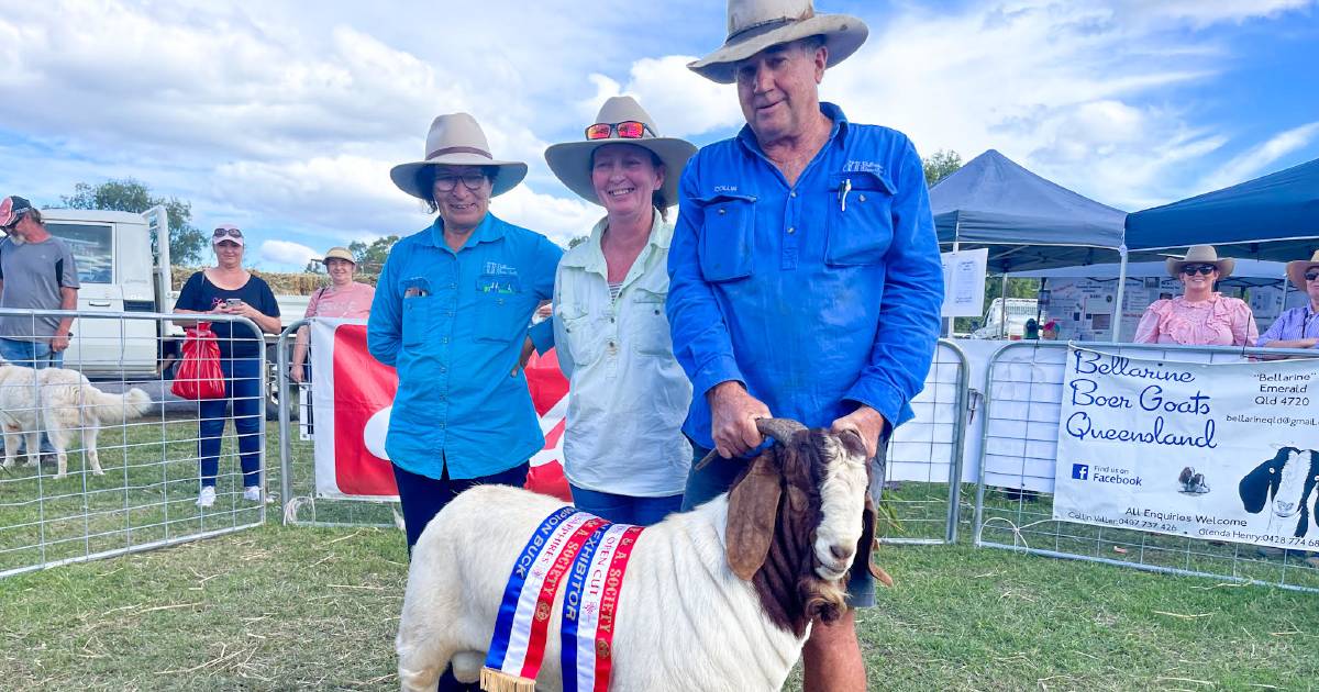 Boer goat breeder 'overwhelmed' with buck's supreme win