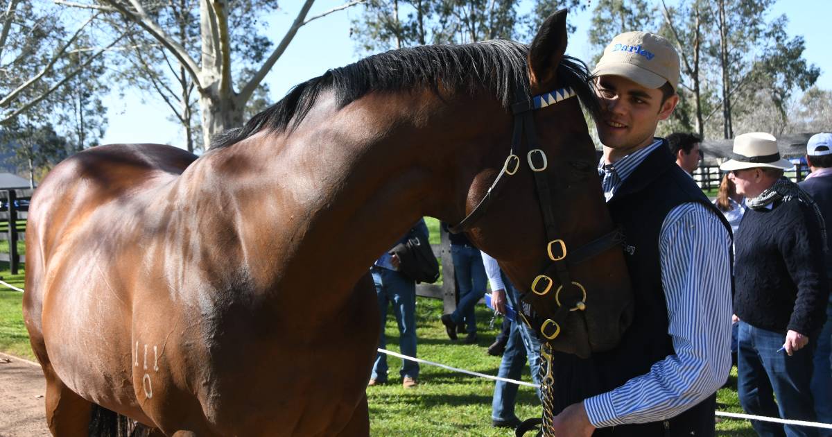 Godolphin’s Exceed and Excell sires Magic Millions sale topper | The Land