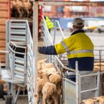 Students become 'tradies for a day' at Cloncurry workshops