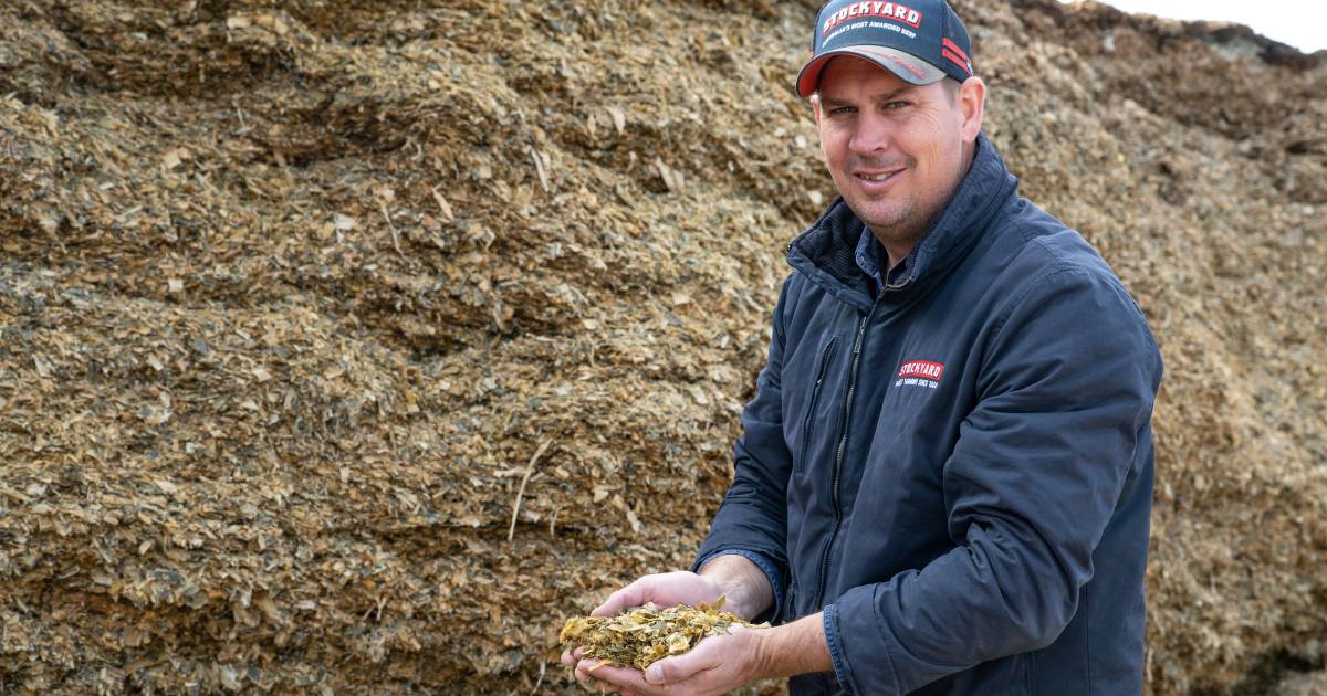 Why producers are stockpiling silage