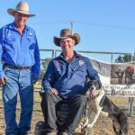 Feedlot Short Course set for Aug. 2-4