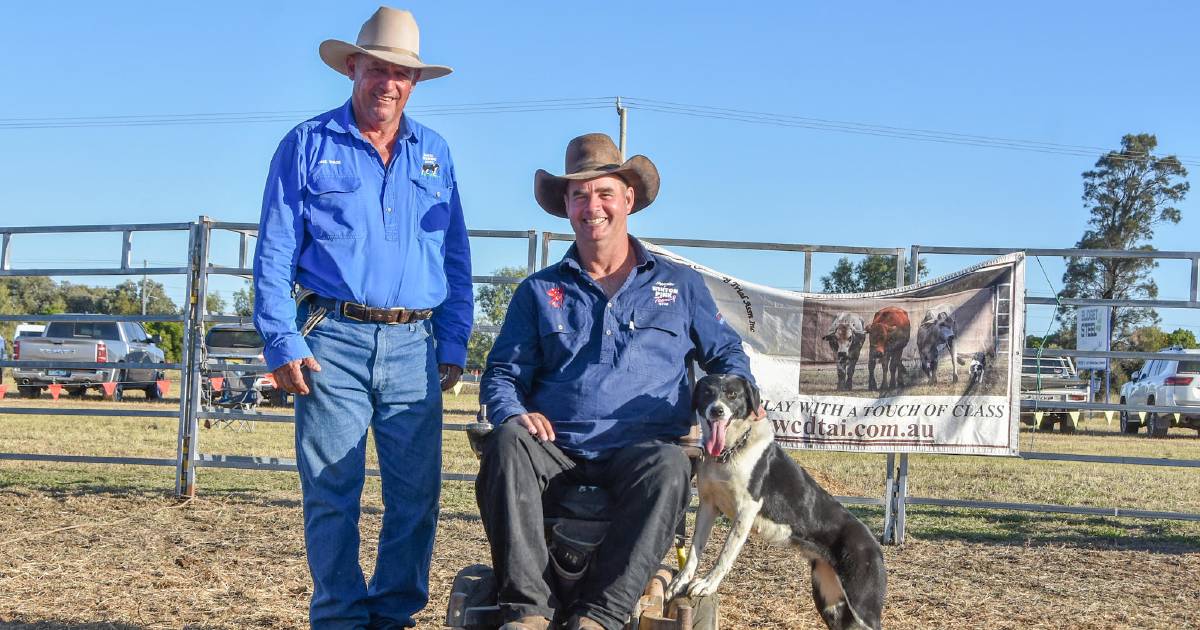 Record top price doubled at Ag-Grow working dog sale