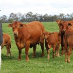 Faces of Burnett agency wed at Coles Creek