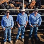 Adanni aims for top in Junior National Finals Rodeo in Emerald | Queensland Country Life