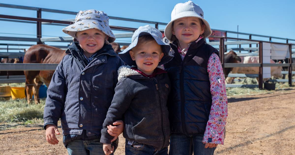 Fun from the Richmond Field Days