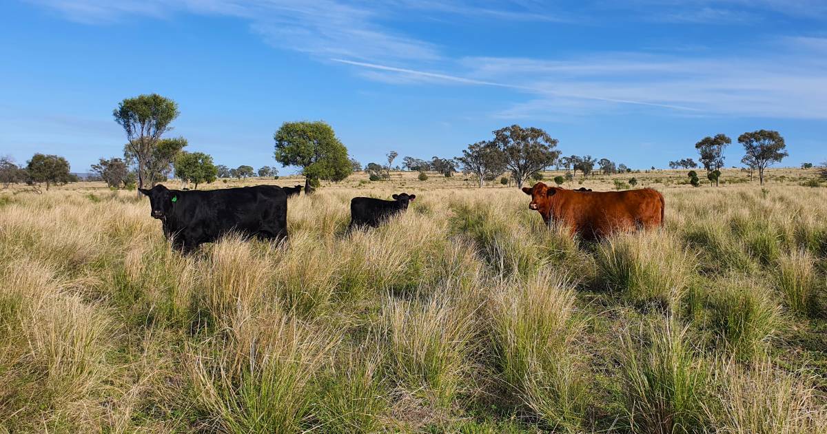 Large scale nth NSW property sells for $5.6m