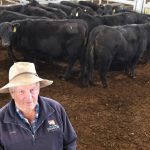 Harvey Beef buys $2731 top-priced pen