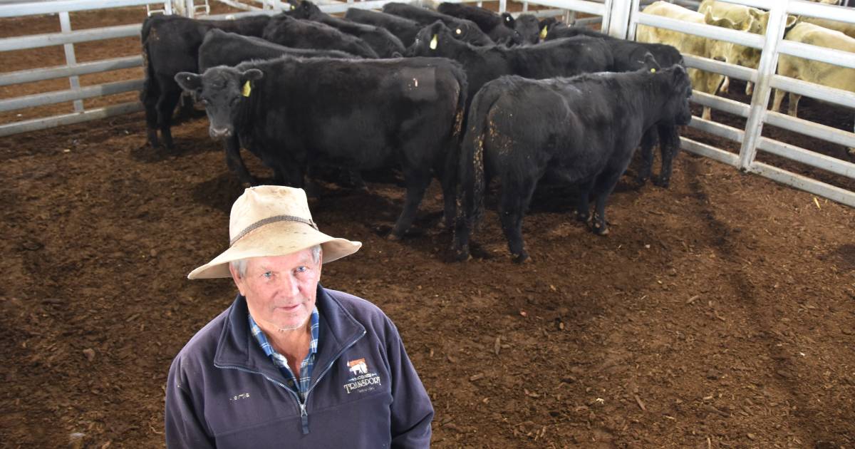 Forbes cows with calves hit $3500 at monthly store sale | The Land