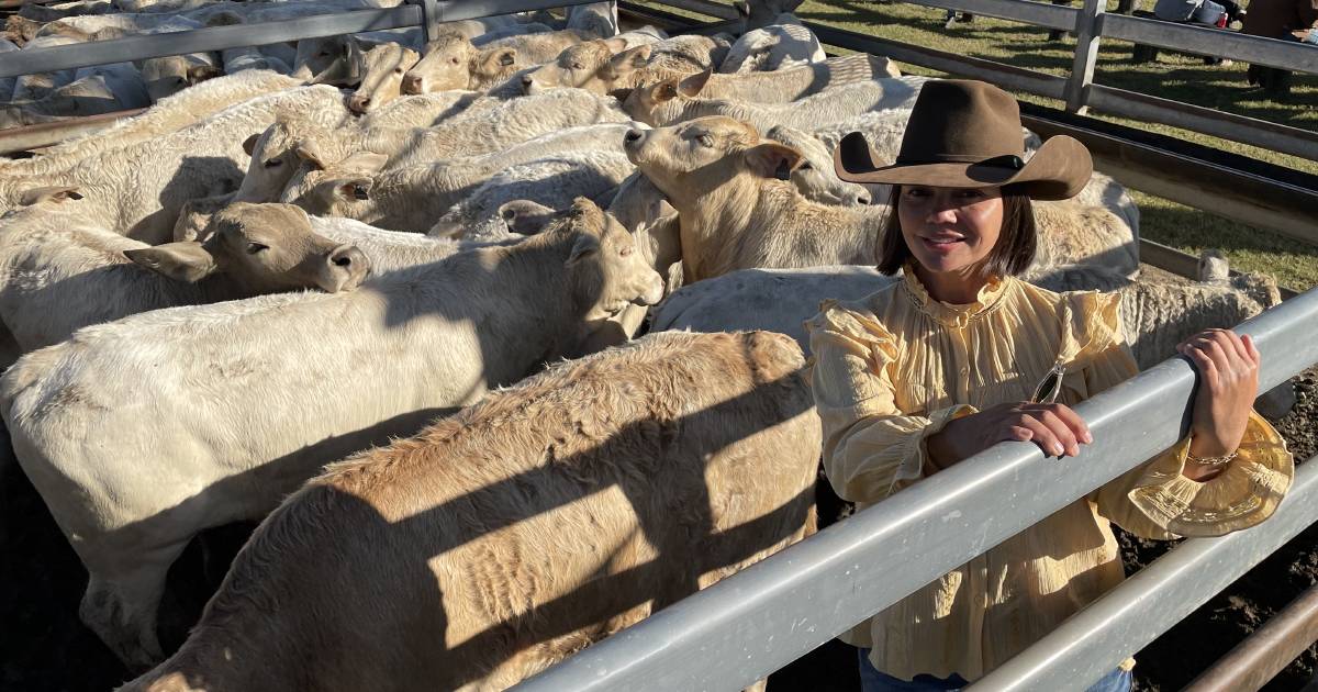 Toogoolawah weaner steers to $2090 | Pictures