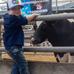 One of Bundaleer’s three Hunter Valley farms is already under offer and it’s been less than a week | The Land