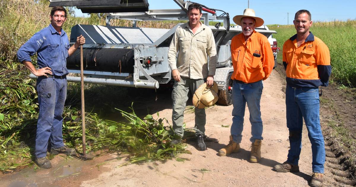 Burdekin growers trial turning invasive weeds into nutrient-rich soil compost