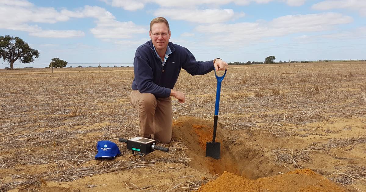 West Midlands Group project aims to develop farming decisions reporting tool | The Land