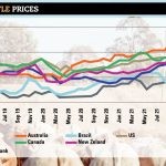 Rylington Park, Mayanup, signs partnership with Edith Cowan University (ECU) and Boyup Brook shire council | Farm Weekly