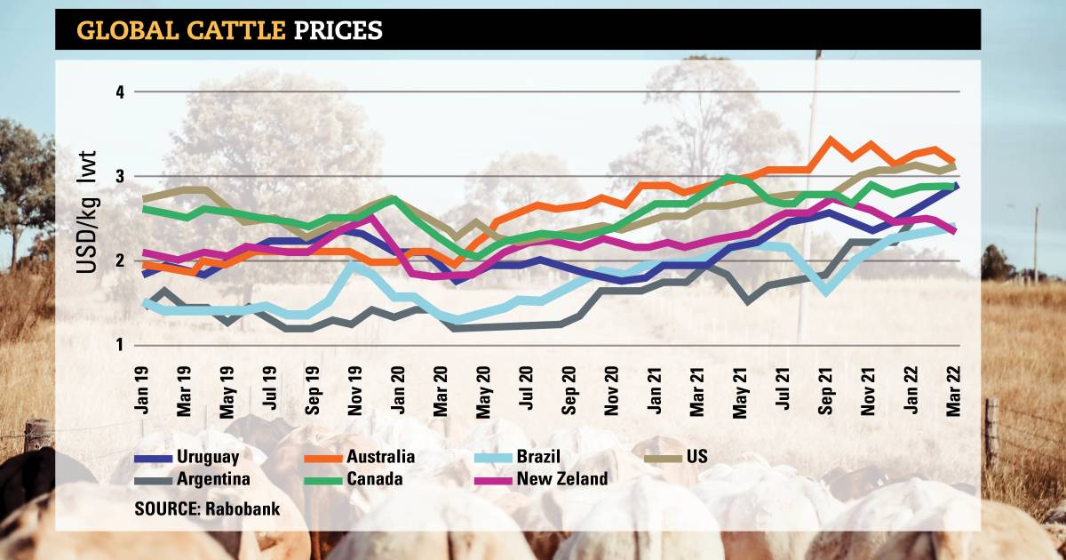 Cattle prices must drop to keep beef competitive