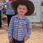 A new Australian Hereford yearling bull record has been set at $91,000