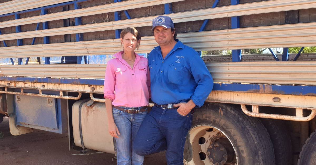 Bollon grazier Scott Todd killed in freak Thargomindah accident | Queensland Country Life