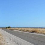 Late season rain greens up country around Ilfracombe | Queensland Country Life