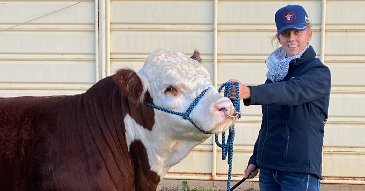 Herefords Australia CM Hocking Scholarship: Emily Taylor | The Land