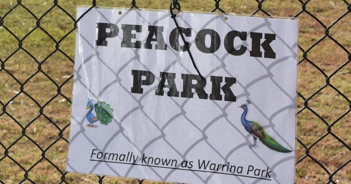 Is it Warrina Park or Peacock Park? Locals debate the name | The North West Star