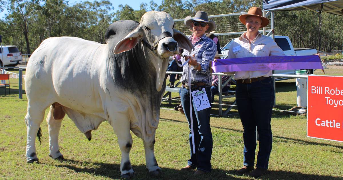 Around the ring: Raglan reigns supreme at Mt Larcom show