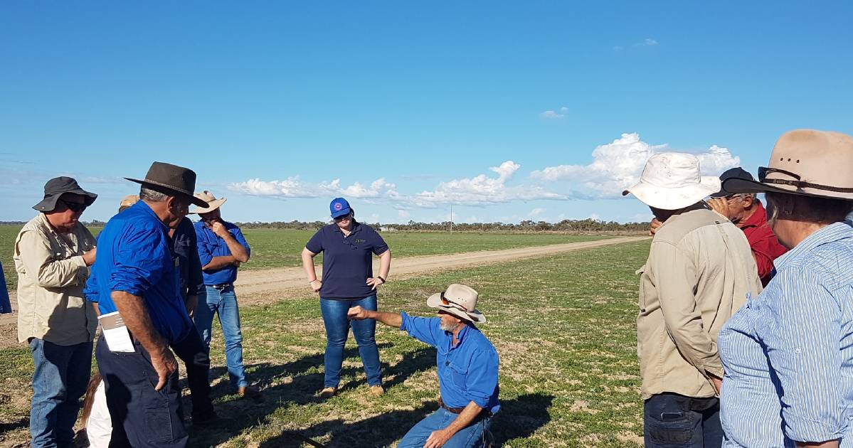 Western grazing forums planned