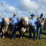 Fun from the Richmond Field Days