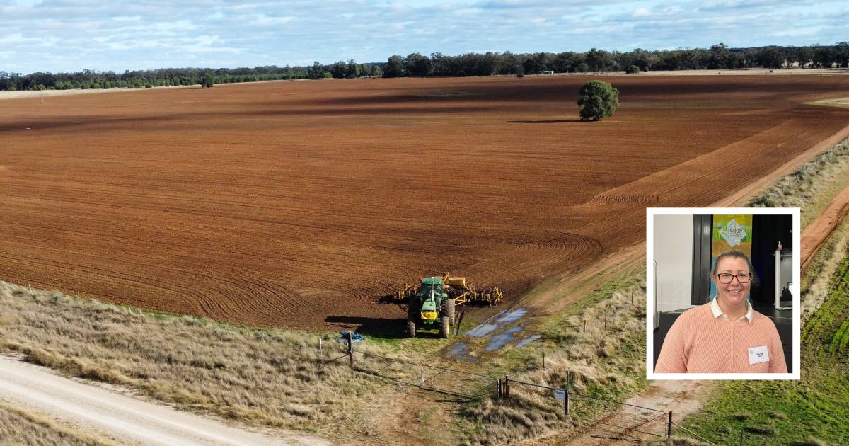 Winter crop planting window still open | The Land