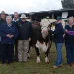 Matilda and Lila rise to the top of junior judging at Farmfest