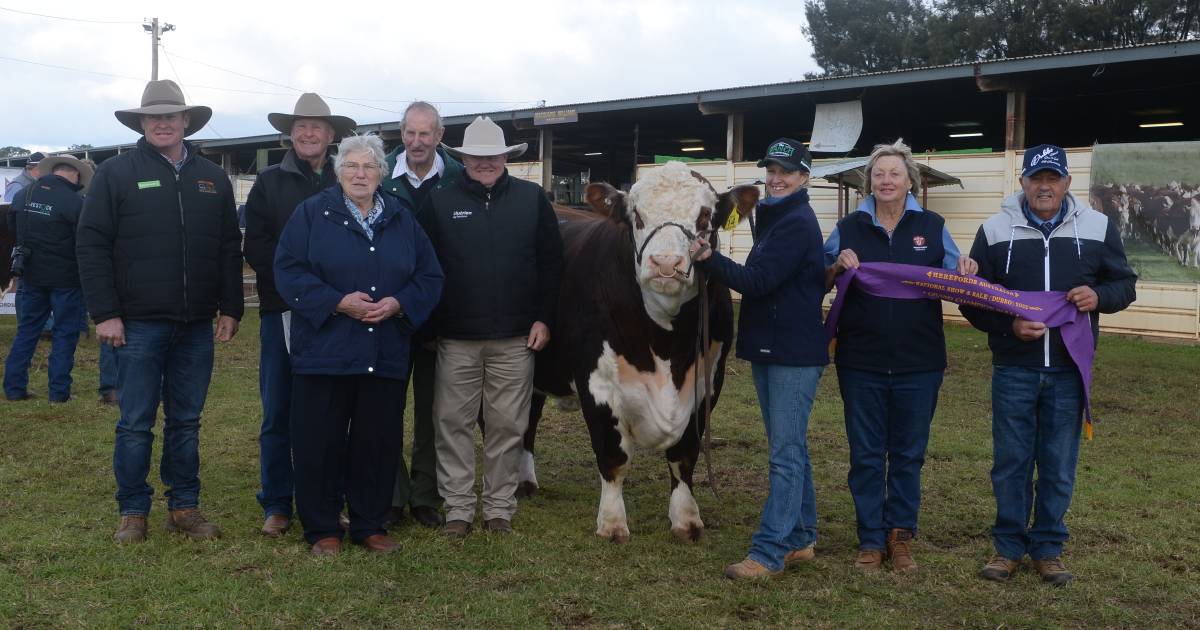 Dubbo Hereford National record jumps to six-figure high price | The Land